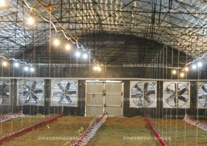 畜牧養(yǎng)殖負壓排風機