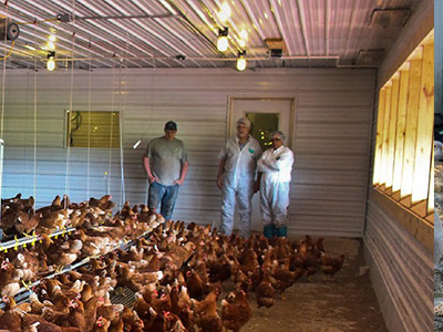 蛋雞舍怎樣安裝水冷風(fēng)機(jī)？蛋雞舍水冷風(fēng)機(jī)安裝步驟