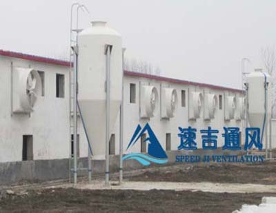 400平方豬舍配水簾風(fēng)機(jī)怎么計(jì)算？速吉通風(fēng)案例詳解