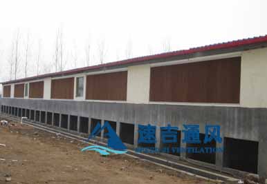 400平方豬舍配水簾風(fēng)機(jī)怎么計(jì)算？速吉通風(fēng)案例詳解